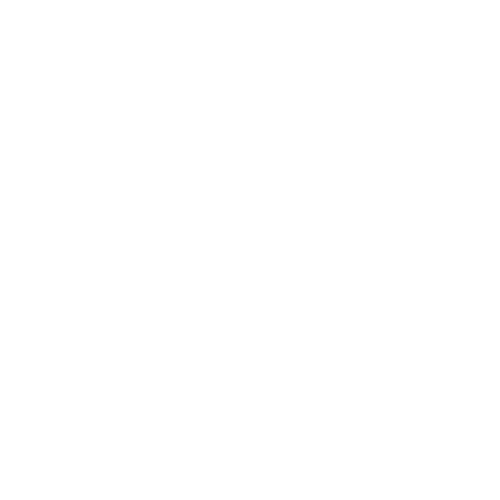 Inzahlungnahme Autohaus Burglengenfeld